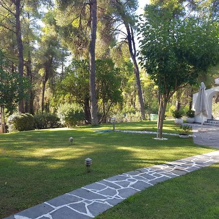 Sani Villa Christy Zewnętrze zdjęcie