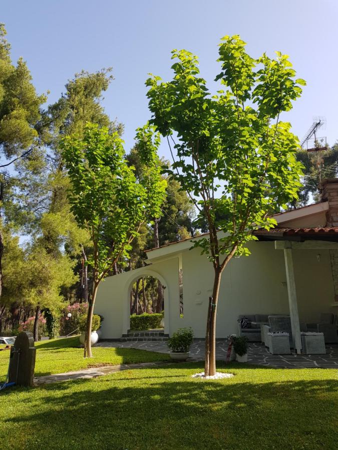 Sani Villa Christy Zewnętrze zdjęcie